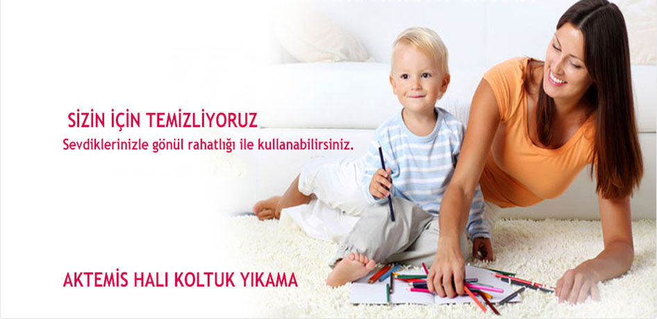 Aktemis Halı Yıkama Ferahevler Hakkımızda